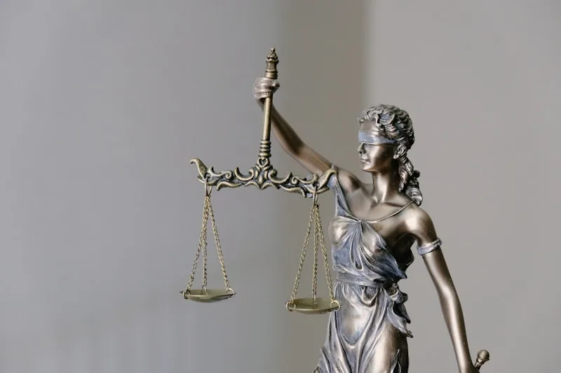 Lanzamientos judiciales en Amavida